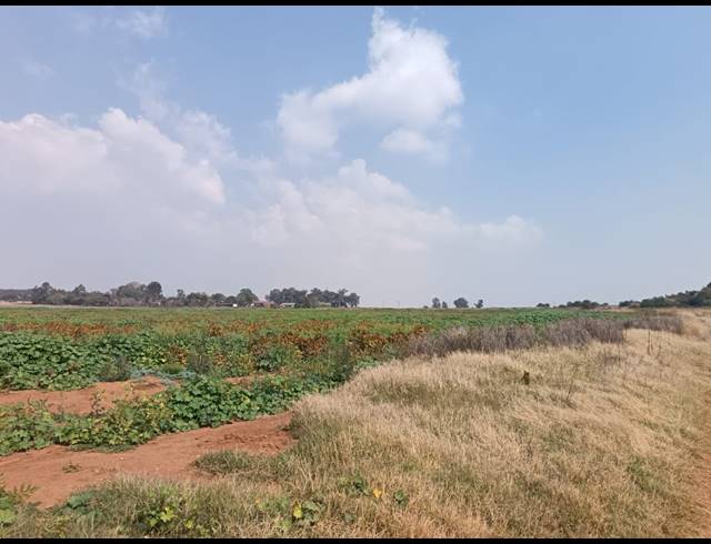 506.20HA FARM FOR SALE IN BLESBOKLAAGTE